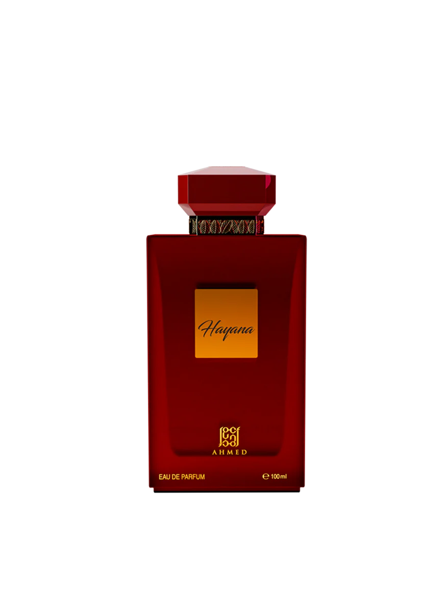 Hayana by Ahmed Al Maghrbi