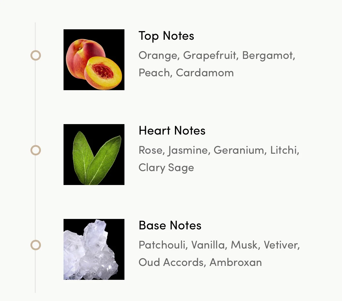 Sage - Image 3